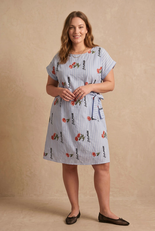 Curve - Robe chemise rayée bleu roses ceinturée - Soline
